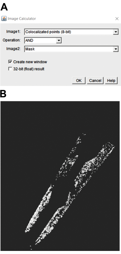 figure-results-3266