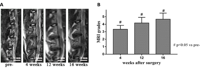 figure-results-3283