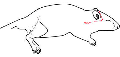 figure-results-3355