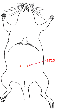 figure-results-3851