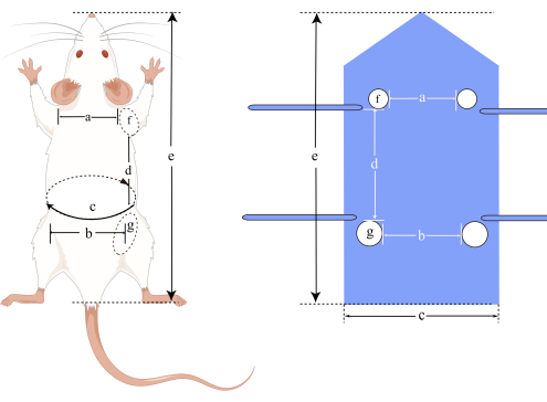 figure-protocol-5924