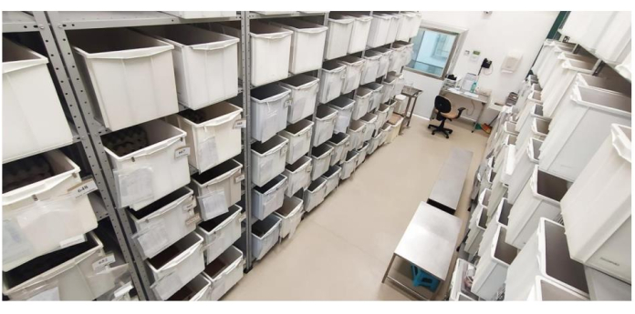 Laboratory sample storage; organized bin system; efficient space utilization; sample preservation.