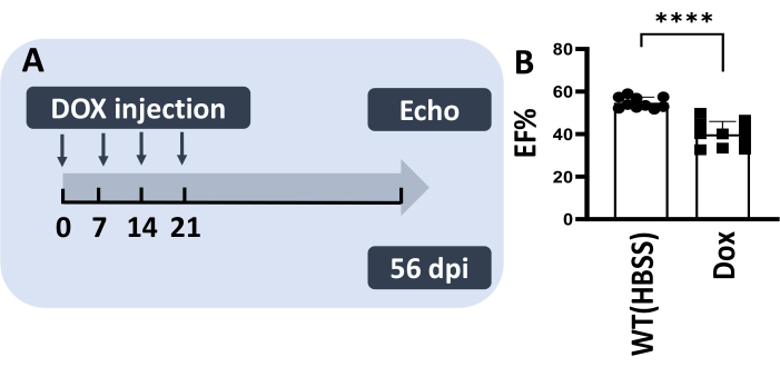 figure-results-10744