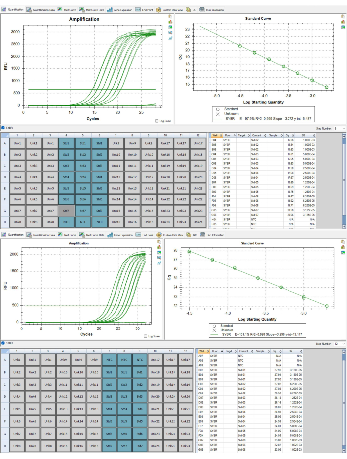 figure-protocol-38679