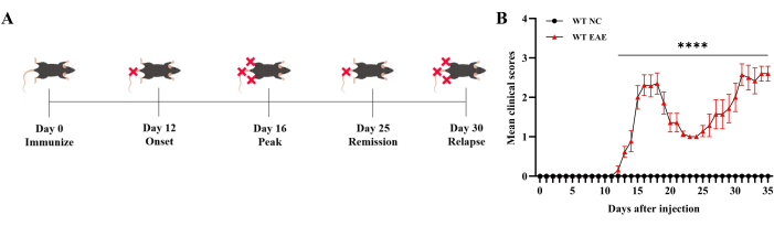 figure-results-4332