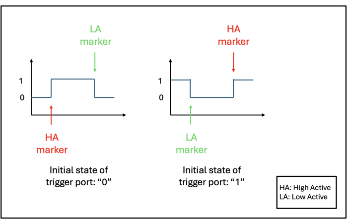 figure-protocol-17864