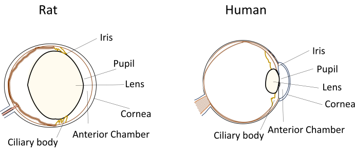 figure-introduction-2327