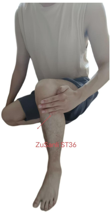 figure-results-2450