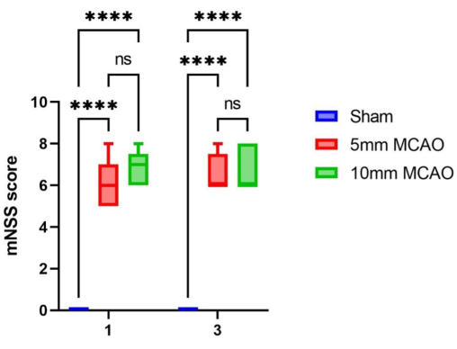 figure-results-6002
