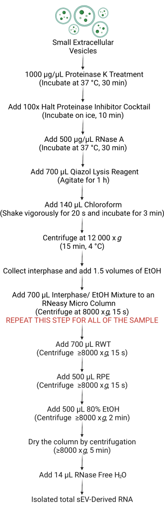 figure-results-4337