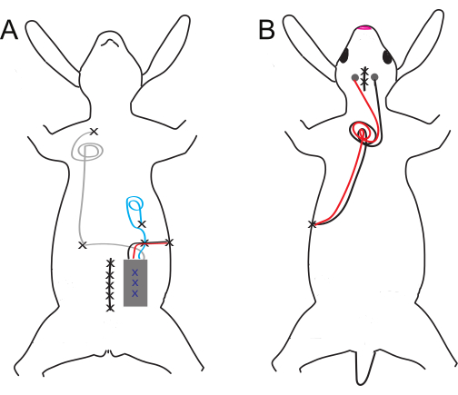 figure-results-4155