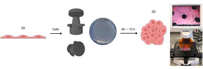 figure-results-3477
